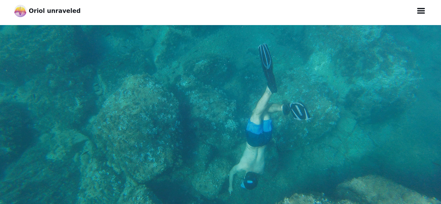 Initial layout of the blog homepage, the snorkeling image takes all the screen